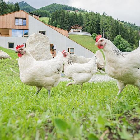 Koasa-Hof Ganzes Ferienhaus Und Sauna 5 Zimmer 240Mq Cadipietra Extérieur photo